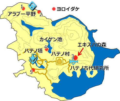 東ハテールのヨロイダケの生息場所の地図